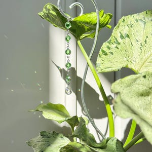 Houseplant Cane/Stake