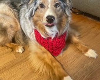 dog bandana