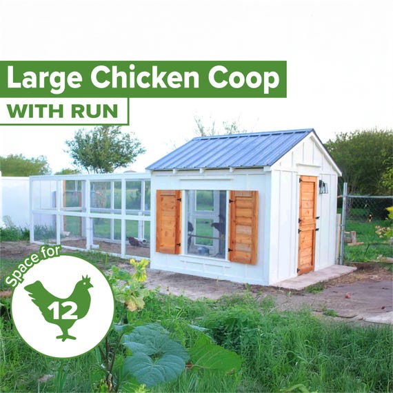 Large chicken coop with run build plans DIY backyard chicken coop for 12 chickens easy clean farm chicken coop plans with nesting boxes PDF