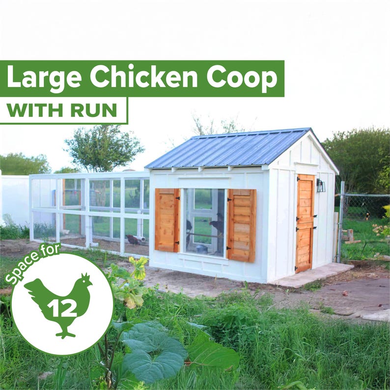 Large chicken coop plans, a DIY chicken coop with run build plan for 12 chickens, to place in your farm or backyard, an easy chicken coop plan with PDF Download, chicken coop with run plans