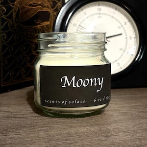 Velas inspiradas en los personajes de la Era de los Merodeadores // Aromas del Mundo Mágico / Regalo artesanal para amantes de los libros / 170 g de cera de soja