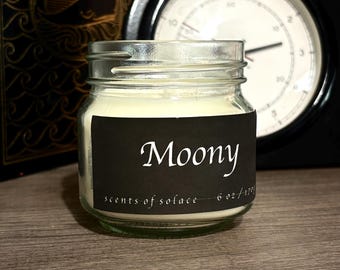 Velas inspiradas en los personajes de la Era de los Merodeadores // Aromas del Mundo Mágico / Regalo artesanal para amantes de los libros / 170 g de cera de soja