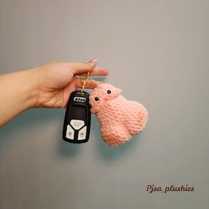 May include: A pink crocheted plush keychain shaped like a human body part, attached to a black car key fob with a gold chain. The keychain is labeled "Pjsa_plushies".
