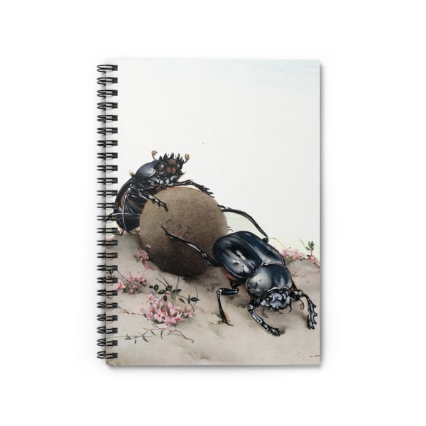 Dung Beetles Spiral Notebook - Ruled Line - Reproduction Vintage print - Insect notebook made from vintage ephemera Print