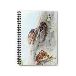 Cicada Spiral Notebook - Ruled Line - Reproduction Vintage print - Insect notebook made from vintage ephemera Print