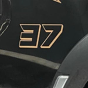 Ford Raptor 37&quot; Decals - Custom