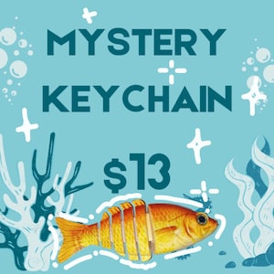 Fisch locken Fidget Schlüsselbund Mystery Blind Box
