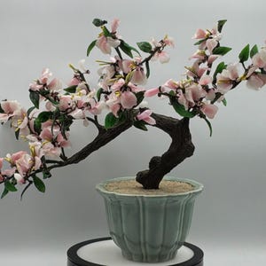 May include: A decorative bonsai tree with a dark brown trunk and branches, featuring delicate pink and white blossoms and green leaves. The tree is potted in a light green, ribbed ceramic pot.