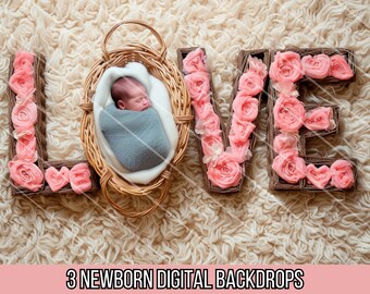 Set Of 3 Valentine's LOVE Digital Backdrops for Newborn Photoshoot | Rustic Floral Digital Backgrounds | Baby Portrait Photography Props