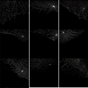 13 Spider Web Overlay Set: Realistic Cob Webs for Spooky Halloween ...