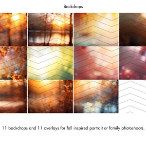 22 Fall Backdrops & Photo Overlays | Digital Autumn Forest Background ...