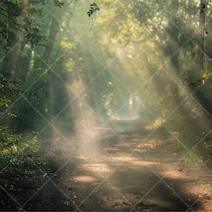 May include: A dirt path winds through a lush green forest, with sunlight streaming through the trees, creating a magical atmosphere.