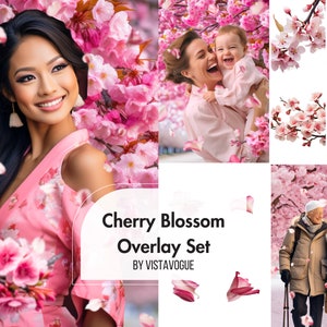 桜の木のオーバーレイ: デジタル開花枝、花びら、散る桜の木の花びら効果の Photoshop オーバーレイ