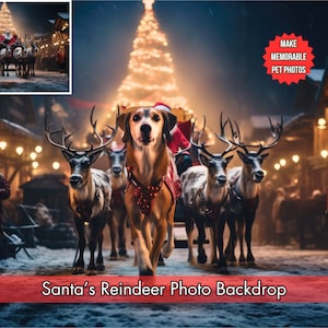 Santa&#39;s Reindeer Digital Backdrop for Pets - Christmas Dog Portrait Background | Ideal for Funny Holiday Photography & Christmas Card Ideas