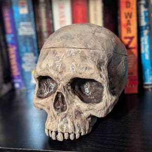 Skull Desk Organizer - Ancient Weathered Human Skull Container Prop - Hand Painted Realistic Skull with Bone Texture - Skull Storage Box