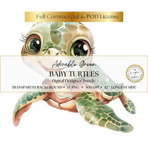 Adorable clipart tortue verte, PNG 13 pour décoration de chambre d'enfant, autocollants, créations pour enfants, arts numériques et sublimation, téléchargement immédiat, usage commercial