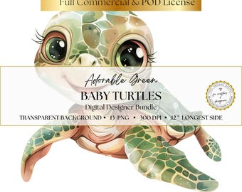 Adorable Green Turtle Clipart, 13 PNG for Nursery Decor, Stickers, Kids Crafts, Digital Arts & Sublimation, Instant Download, Commercial Use