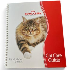 Royal Canin Cat Care Guide It’s All About the Cat