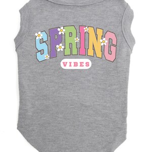 May include: Gray sleeveless dog shirt with the text "SPRING" in rainbow colors and white flowers. The text "VIBES" is in a pink oval below the word "SPRING".