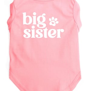 May include: A light pink pet t-shirt with the words "big sister" in white, along with a paw print graphic. The shirt has a rounded hemline and a crew neck.