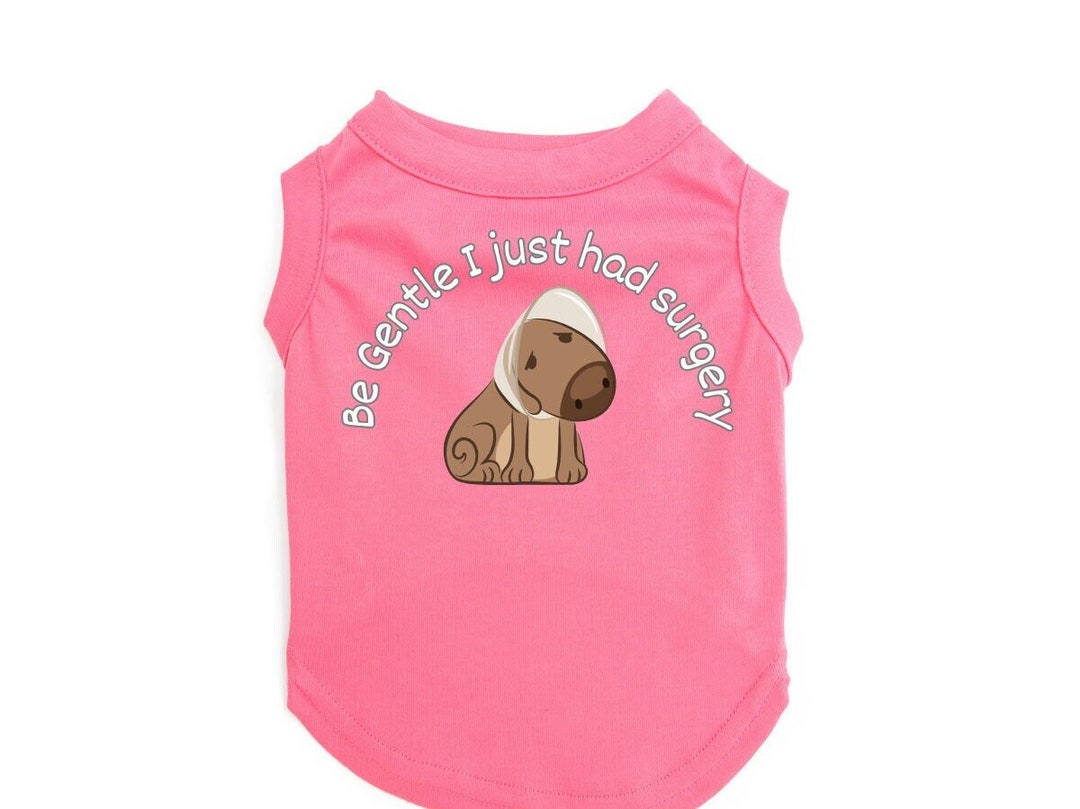 Dog Shirt for Surgery Recovery 'be Gentle, I Just Had Surgery' Tshirt