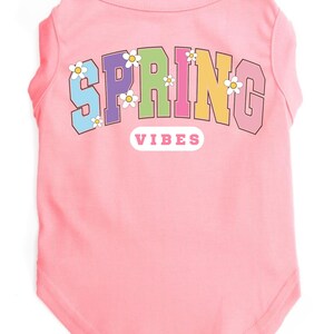 May include: Pink dog t-shirt with a rainbow "SPRING VIBES" graphic and white daisy accents.