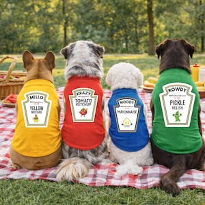Camisetas o sudaderas con capucha para perros y gatos con condimentos a juego Disfraz de Halloween para perro Salsa de tomate Mostaza Relish Mayonesa para mascotas grandes o pequeñas Disfraz grupal