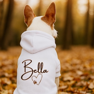 May include: A white dog hoodie with the name "Bella" in a cursive font, a heart, and a paw print design. The dog has white and brown fur and is outdoors in a park with fall foliage.