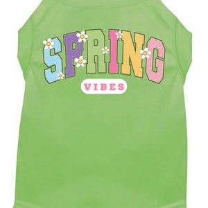 May include: Green dog shirt with a rainbow "SPRING VIBES" graphic and white daisy accents.