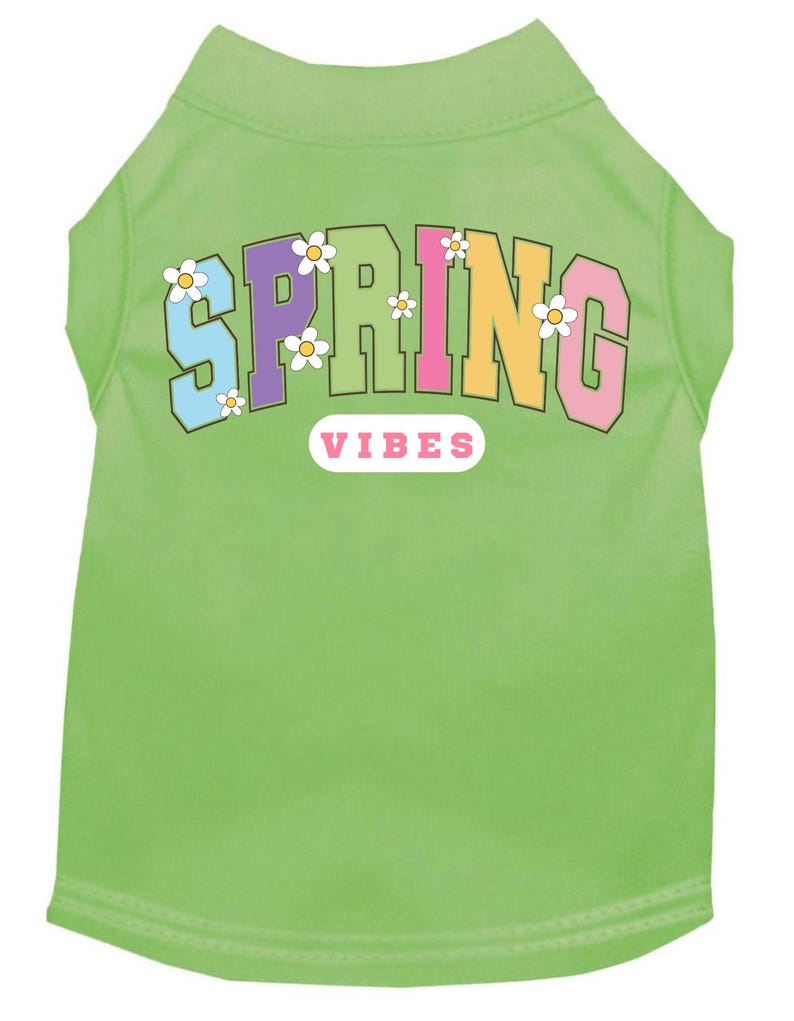 May include: Green dog shirt with a rainbow "SPRING VIBES" graphic and white daisy accents.