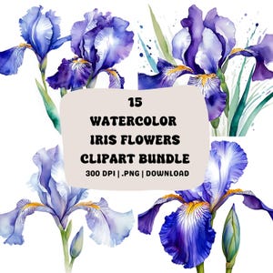 15 Watercolor Iris Clipart Bundle | Purple Spring Flower Graphics for Cards | Instant Download Commercial Use