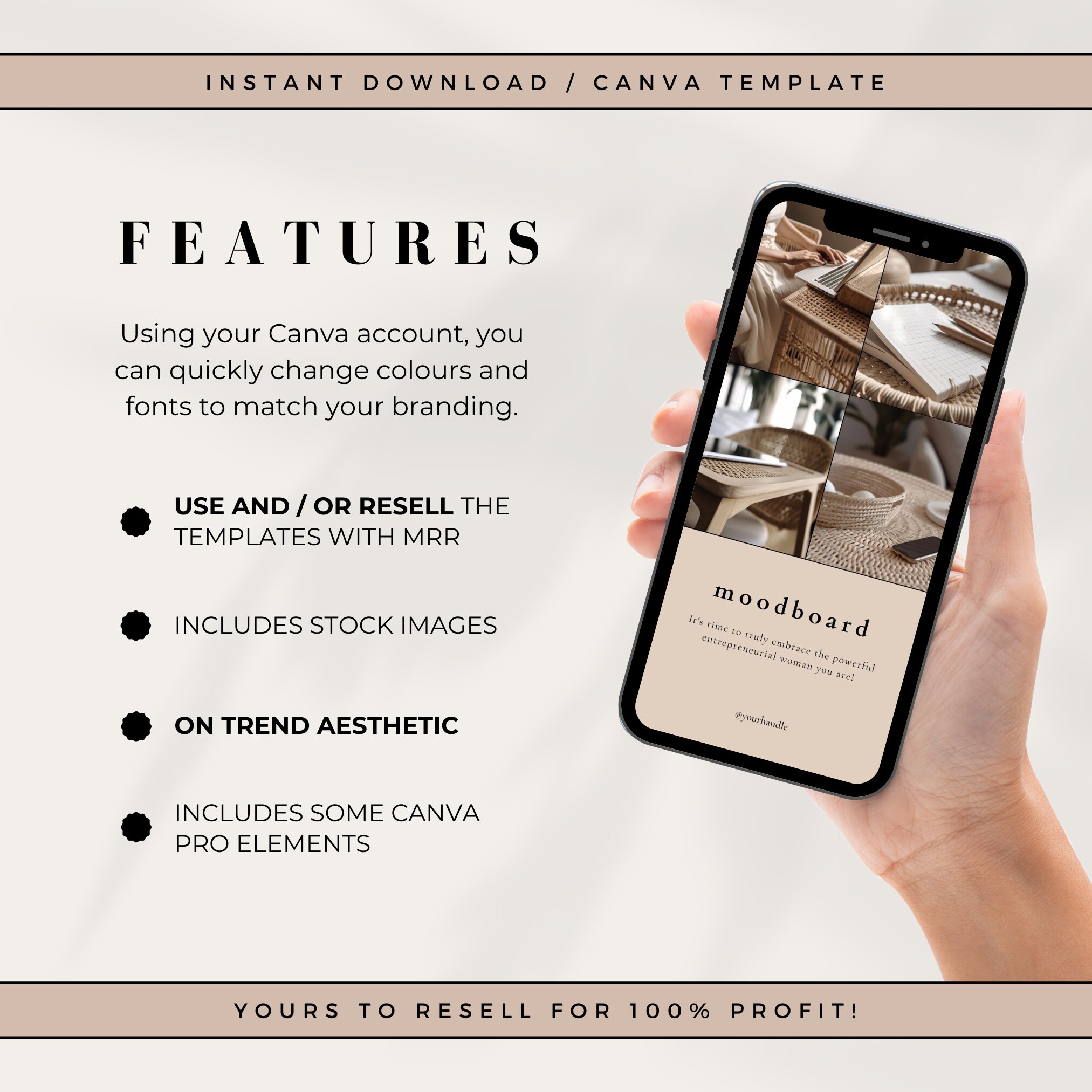 MRR Canva Instagram Stories Template Master Resell Rights Neutral IG ...