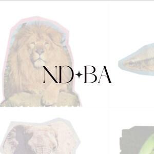 May include: A collage of images featuring a lion, a fish, an elephant, and a green bean. The text "ND+BA" is centered in the middle of the image.