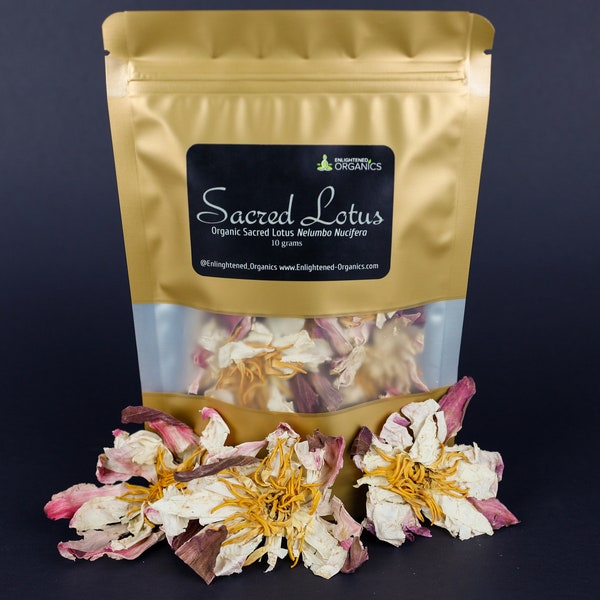 Organic Sacred White Lotus Flowers • Nelumbo nucifera • 100% Pesticide & Additive Free • Sustainable and Regenerative Farming Practices