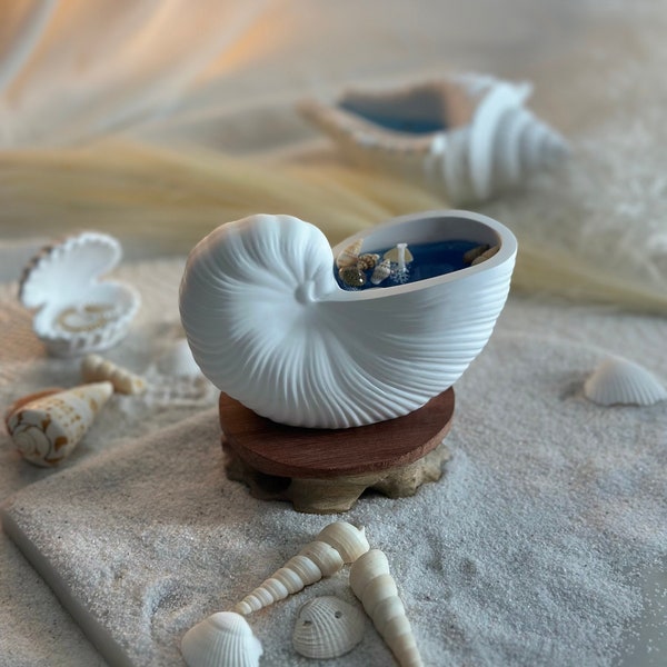 Conch Gel Candle, Seashell Candle, Beach Home Decor, Ocean Inspired, Conch Shaped Bowl, Scented Candle, Custom Scents