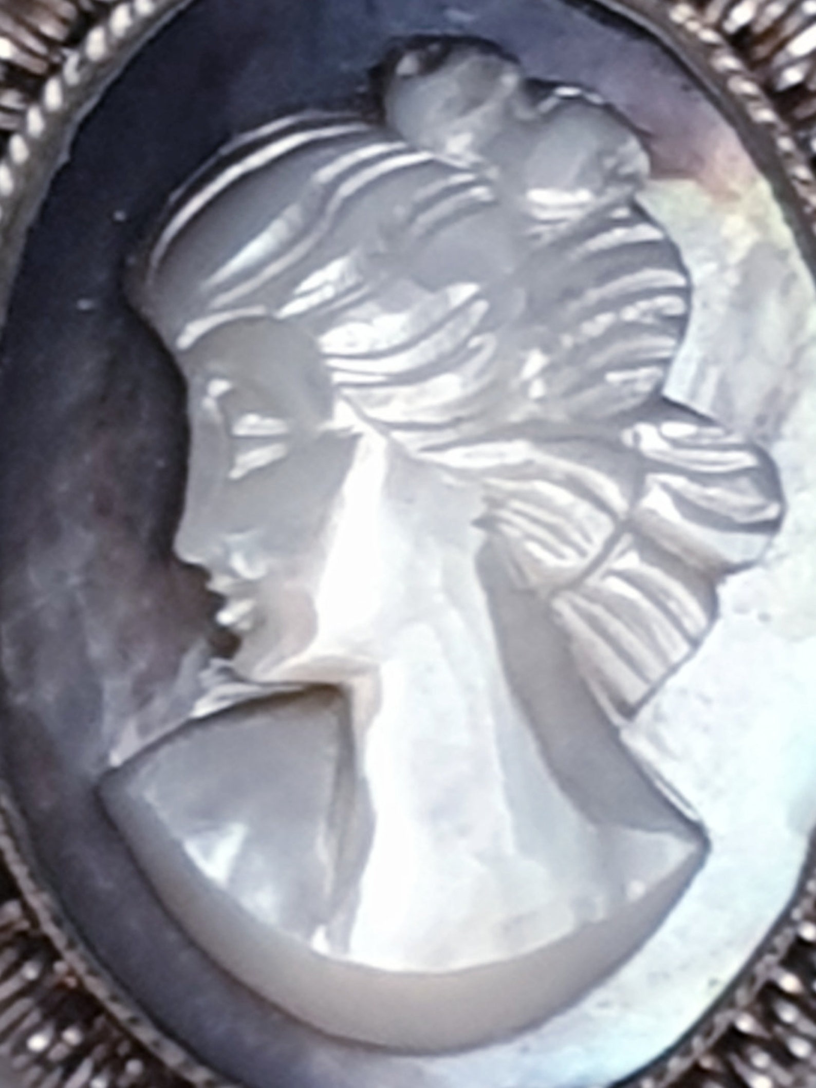 Vintage Shell Abalone Heliotis Cameo Brooch Pendant in 800 Silver ...