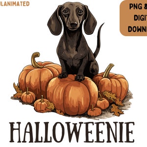 Black Halloweenie Svg, dachshund svg, halloween dog svg, weiner dog shirt, Weiner dog gift, dachshund shirt, im here for the weiners png