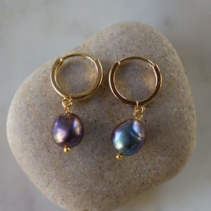 Black Pearl Drop Earrings - real freshwater black pearl earrings on 14k gold plated hoops