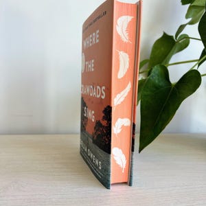 May include: A paperback book titled "Where the Crawdads Sing" by Delia Owens. The cover features a sunset over a body of water with trees and a figure in the distance. The spine is orange with white feathers.