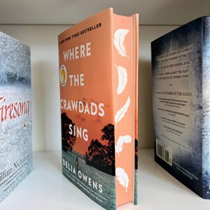 May include: A paperback book titled "Where the Crawdads Sing" by Delia Owens. The cover features a sunset over a body of water with a silhouette of a person walking on a beach. The book is a New York Times bestseller.