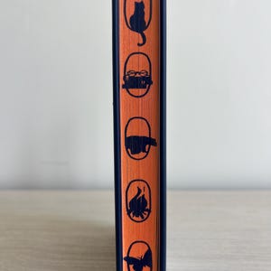 May include: The spine of a book with five orange icons on a blue background. The icons are a cat, a pair of glasses, a bird, a fire, and a butterfly.