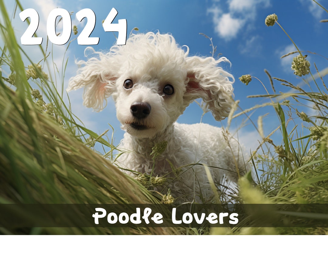 2024 Poodle Calendar Printable Worldwide Etsy