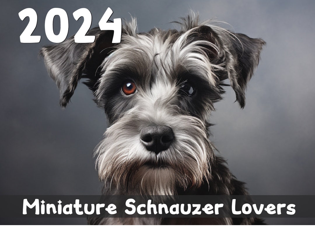 2024 Miniature Schnauzer Calendar Printable Worldwide no Etsy