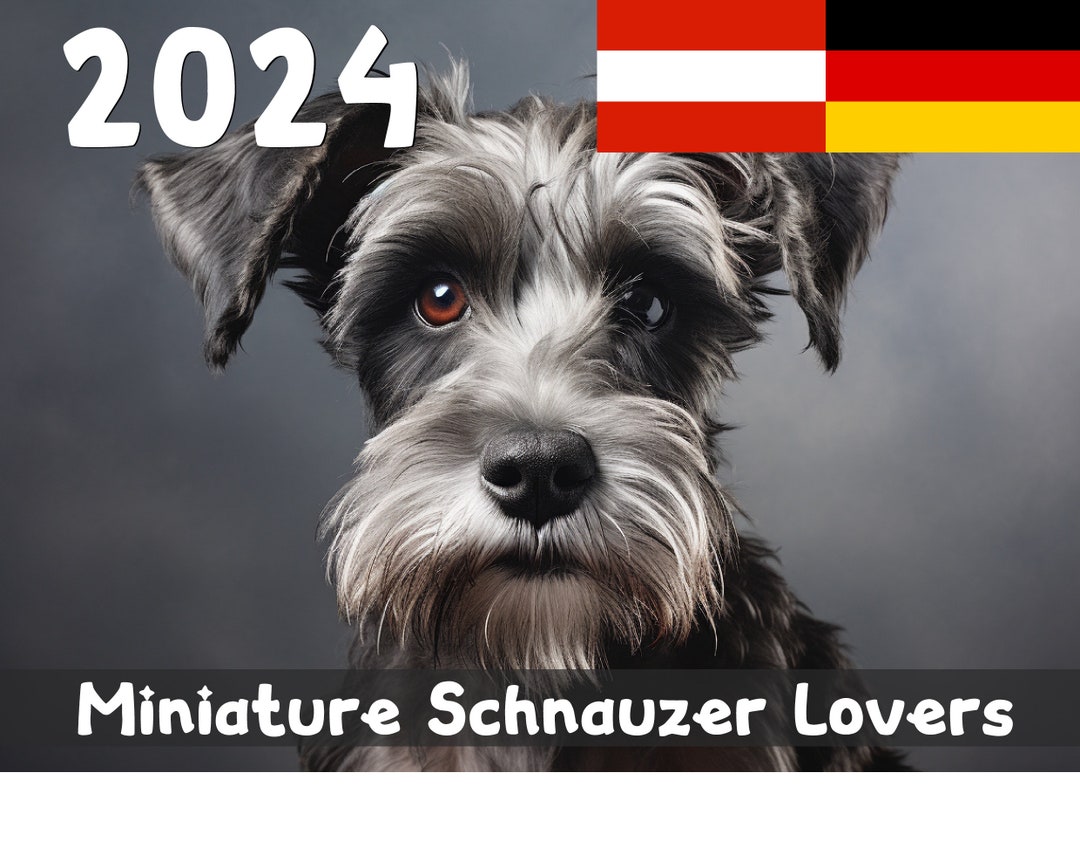 2024 Miniature Schnauzer Calendar Printable German Etsy