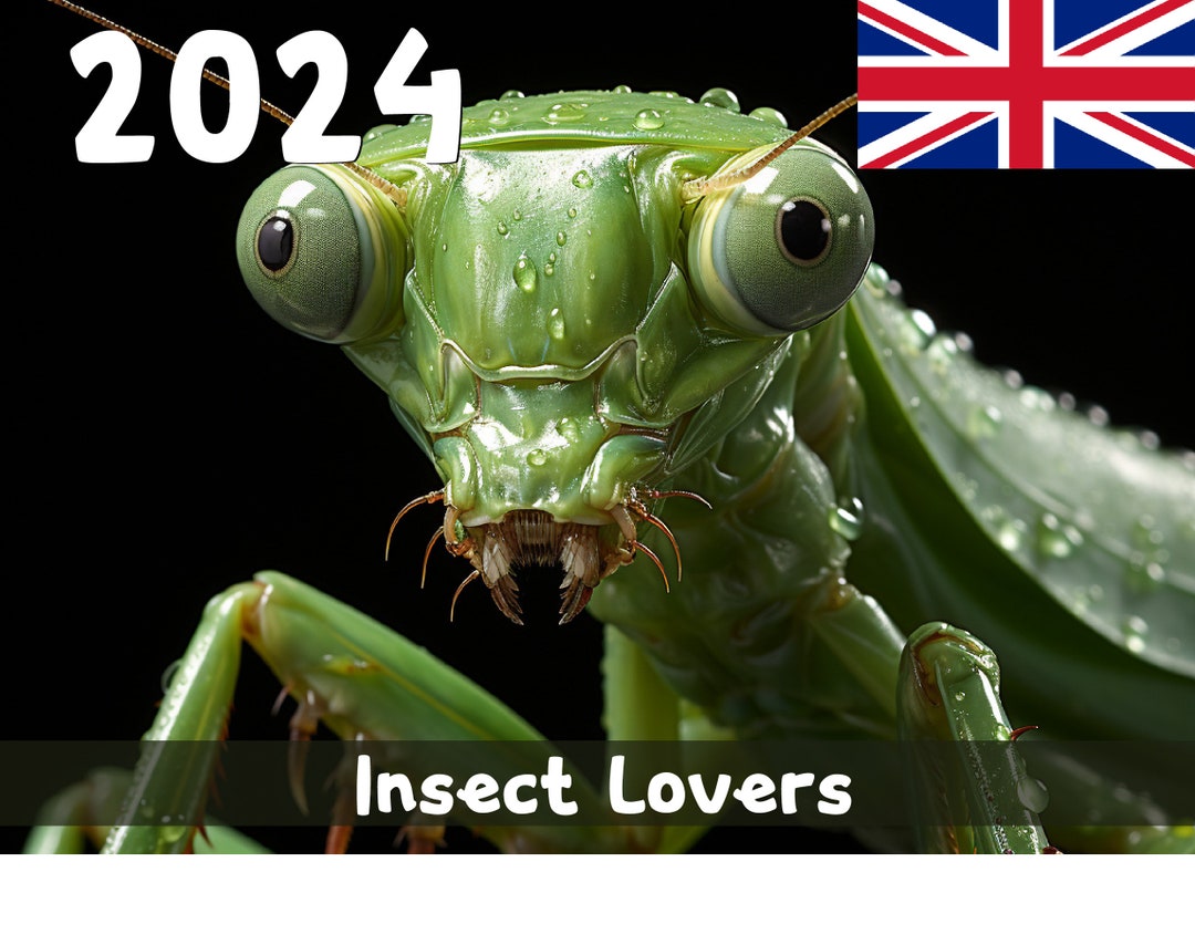 Incredible Insects Calendar 2024 Printable PDF United Etsy