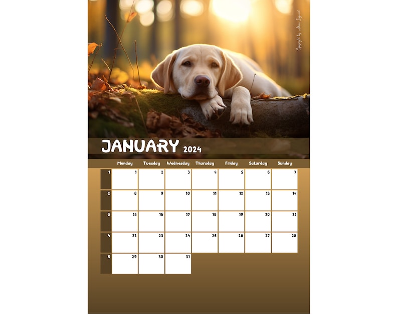 2024 Labrador Calendar Printable Worldwide Etsy