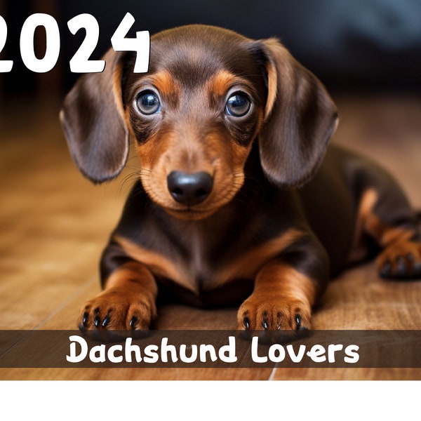 2024 Dachshund Etsy UK