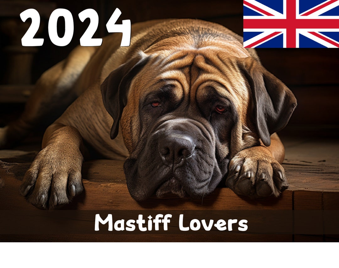 2024 Mastiff Lovers Calendar Printable United Kingdom Etsy