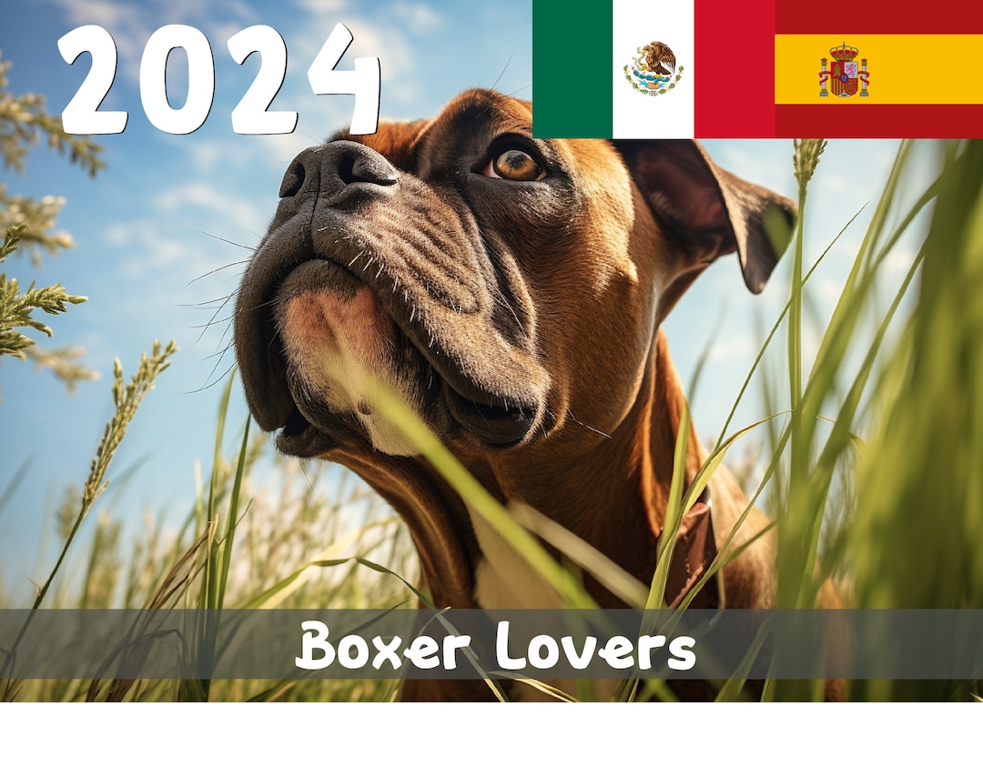 2024 Charming Boxers Printable Calendar Spanish Etsy