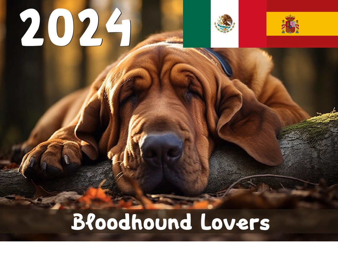 2025 Bloodhound Lovers Calendar Printable Spanish Etsy